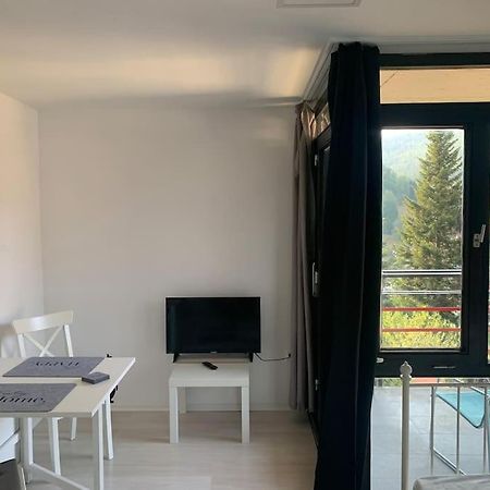 Gemuetliches Einzimmer-Apartment 33 Bad Wildbad Dış mekan fotoğraf