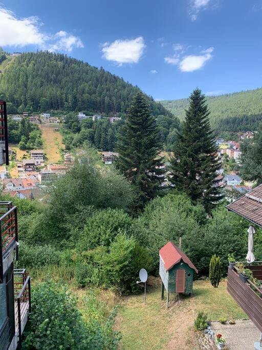 Gemuetliches Einzimmer-Apartment 33 Bad Wildbad Dış mekan fotoğraf