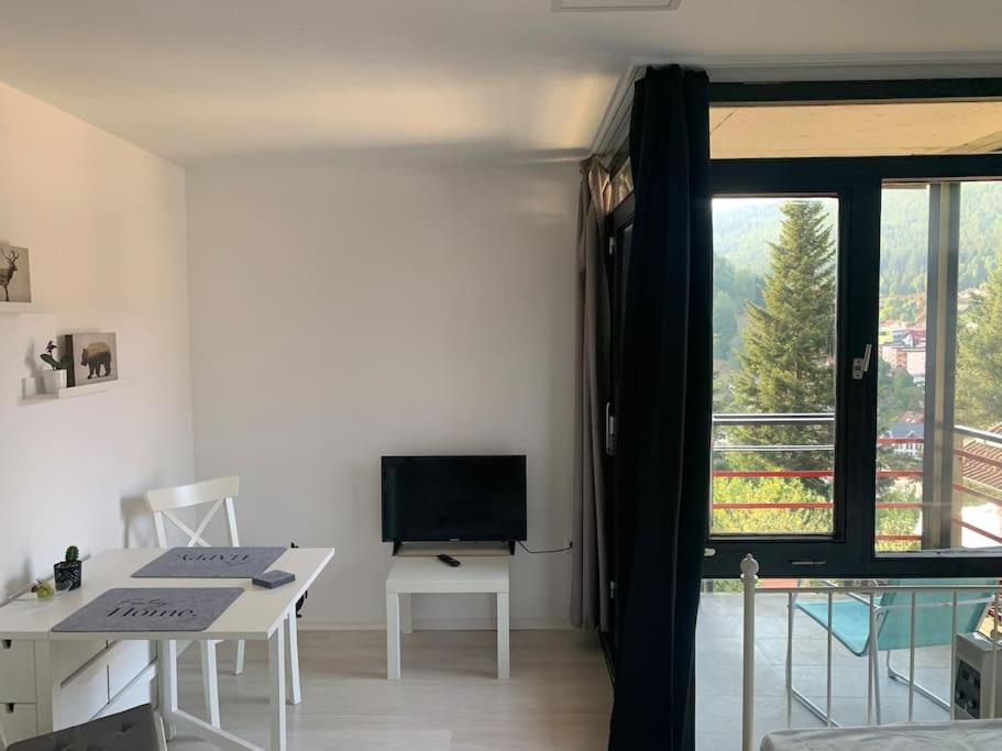 Gemuetliches Einzimmer-Apartment 33 Bad Wildbad Dış mekan fotoğraf