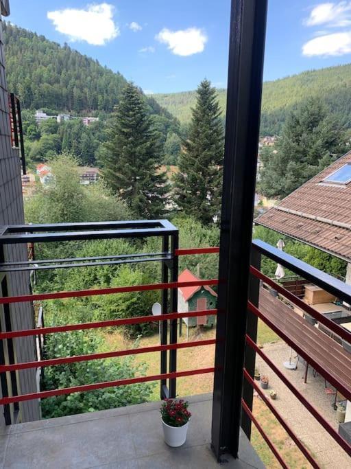 Gemuetliches Einzimmer-Apartment 33 Bad Wildbad Dış mekan fotoğraf