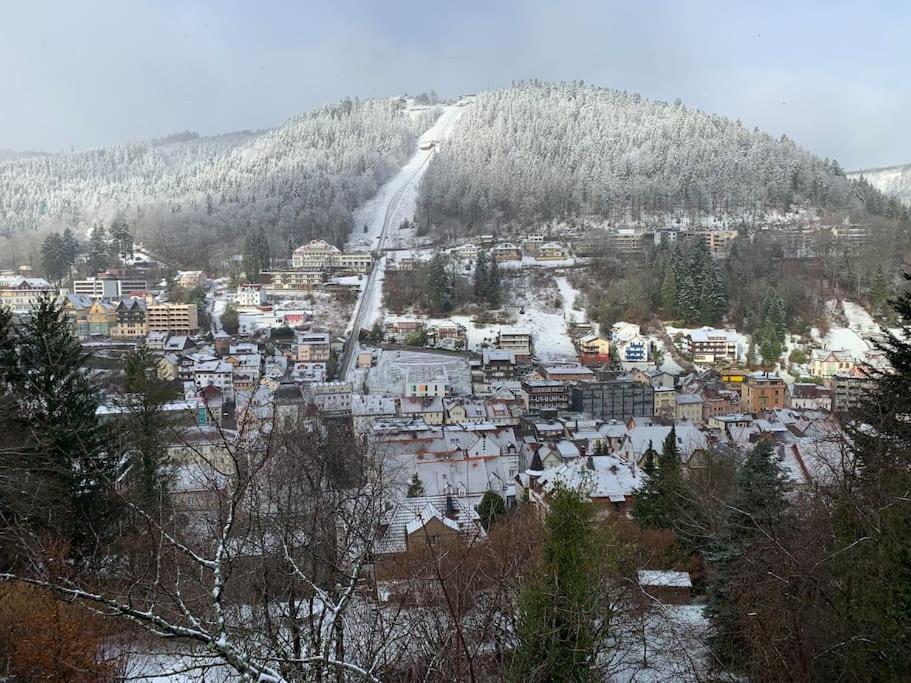 Gemuetliches Einzimmer-Apartment 33 Bad Wildbad Dış mekan fotoğraf