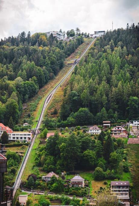 Gemuetliches Einzimmer-Apartment 33 Bad Wildbad Dış mekan fotoğraf